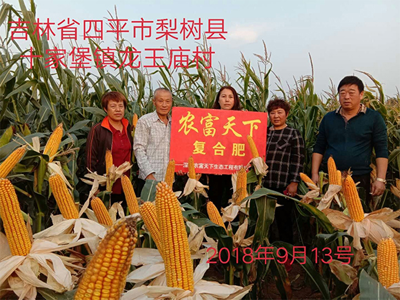 玉米專用磷酸二氫鉀型全水溶復合肥料28-6-6-馬大哈-農富天下5