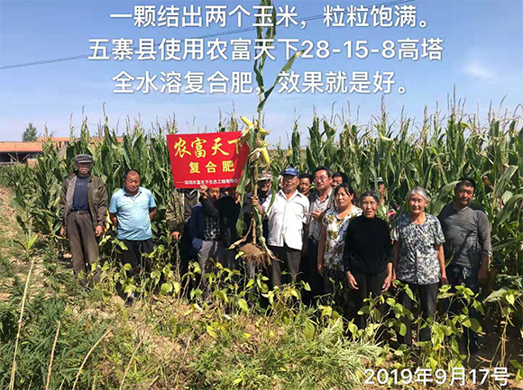 玉米專用磷酸二氫鉀型全水溶復合肥料28-6-6-馬大哈-農富天下6