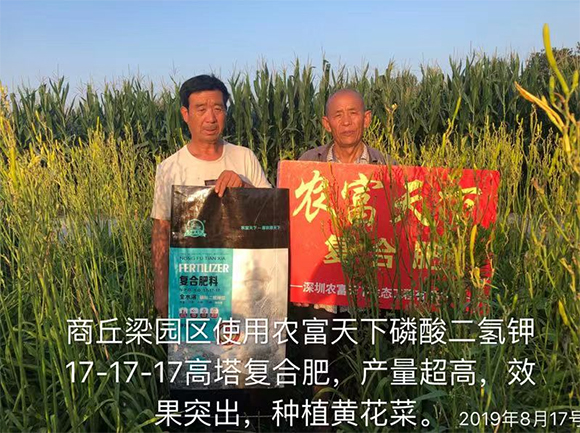 玉米專用磷酸二氫鉀型全水溶復合肥料28-6-6-馬大哈-農富天下4