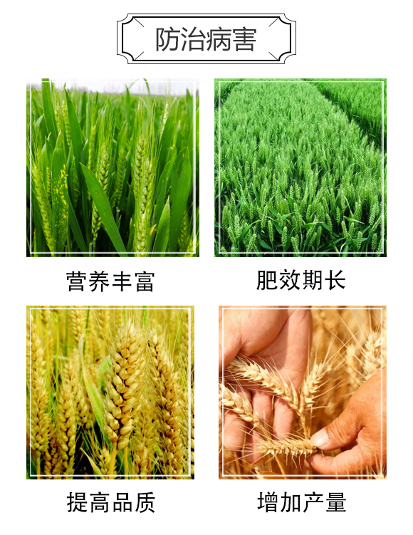 高塔水聚膜控失型復(fù)合肥料-新田石化_03