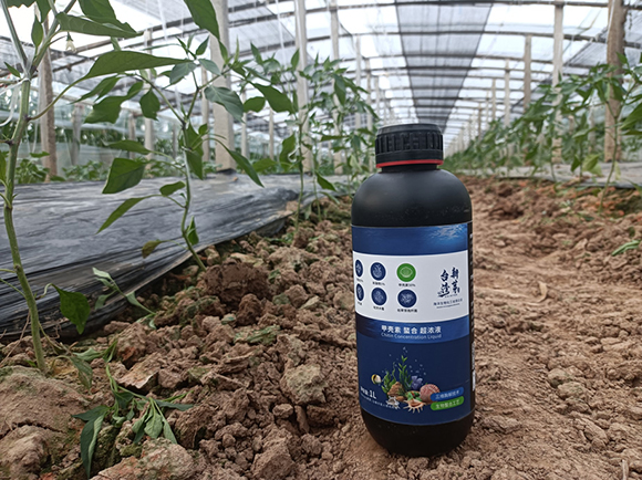 甲殼素螯合超濃液-臺灣新芽2