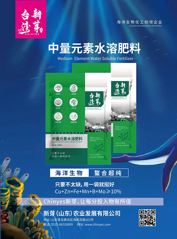 中量元素水溶肥料-臺灣新芽2