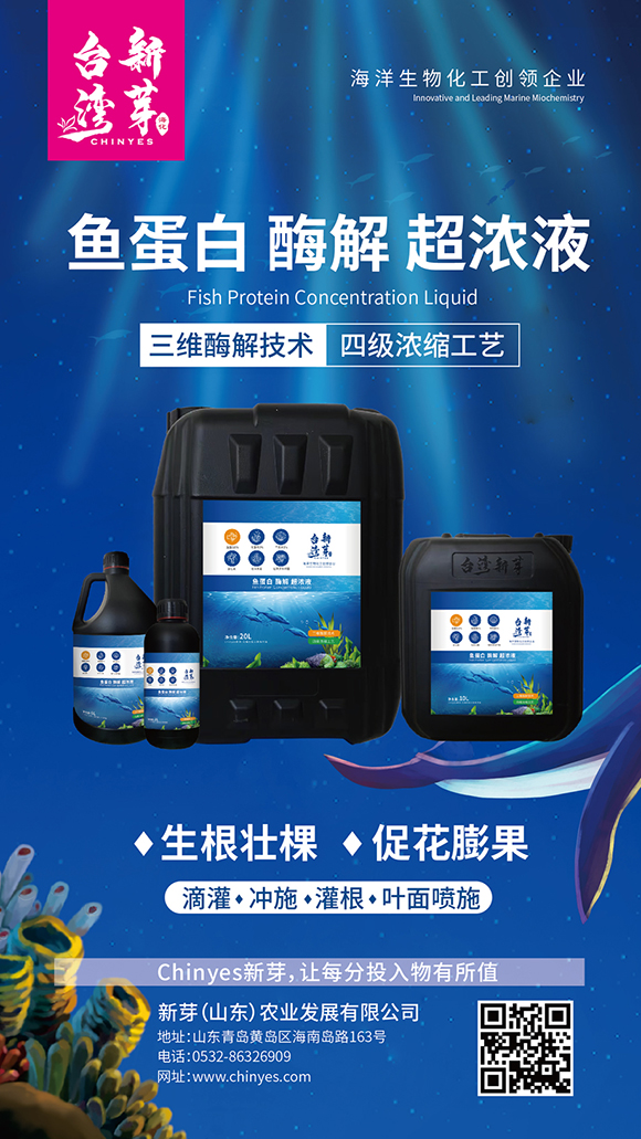 瓶裝魚蛋白酶解超濃液-臺灣新芽3