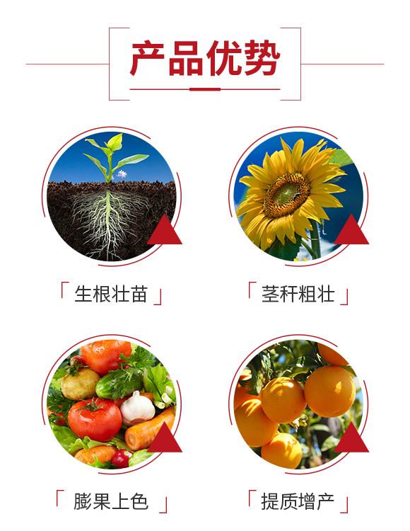 梁山正陽農(nóng)業(yè)科技有限公司_03