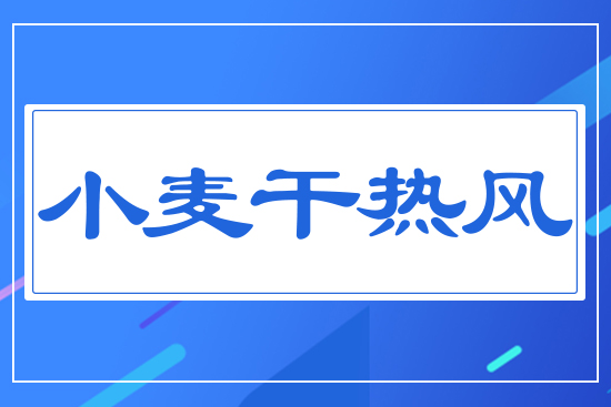 小麥干熱風