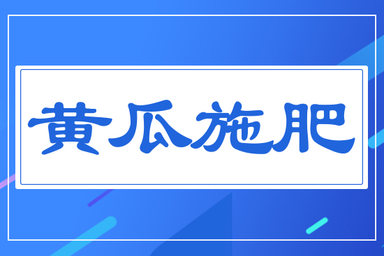 黃瓜施肥