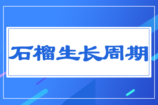 ʯ�����L(zh��ng)����