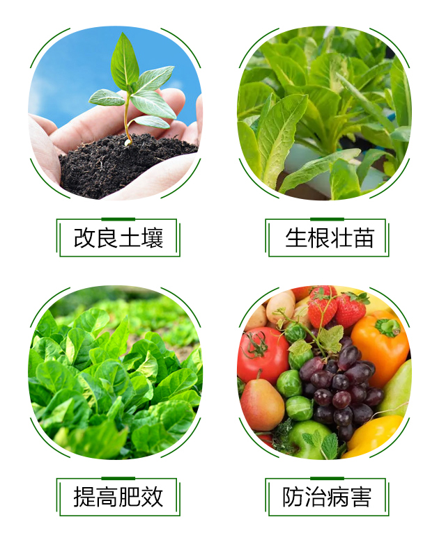 �VԴ�S�����-�\��I��_05