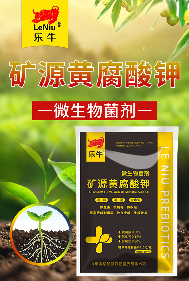 �VԴ�S�����-�\��I��_01