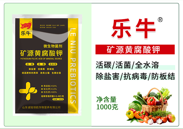 �VԴ�S�����-�\��I��_03