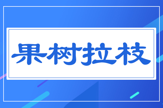果樹拉枝