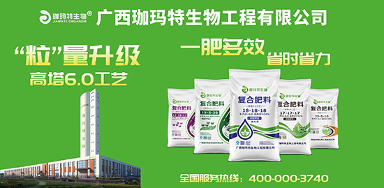 復(fù)合肥料（高塔6