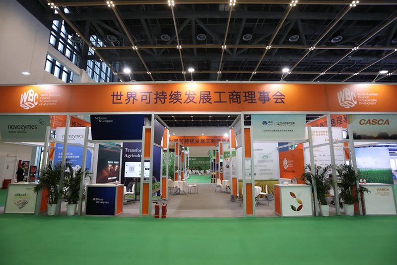 圖片8