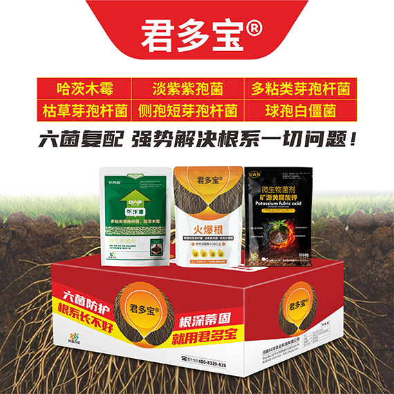 QQ�DƬ20260430094740