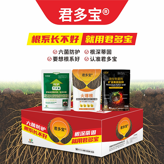 QQ�DƬ20260430094744