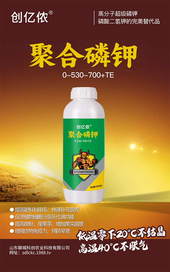 未標題-1