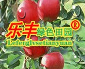 山東樂(lè)豐生物科技有限公司