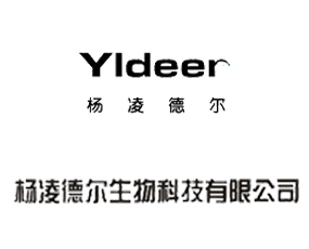 ���� �����Ƽ����޹�˾