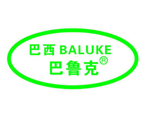 巴西巴魯克（國際）股份有限公司