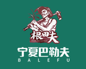 寧夏巴勒夫化工有限公司