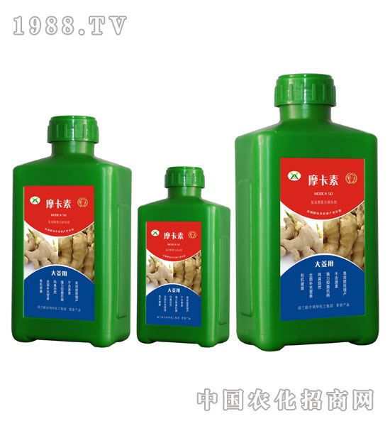 大姜專用氨基酸螯合液肽肥-摩卡素-強(qiáng)芯國(guó)際