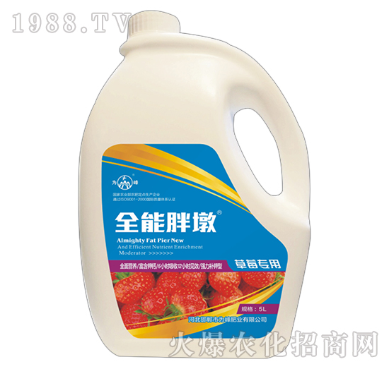 ȫ���ֶ�-��ݮ��(zhu��n)��-���