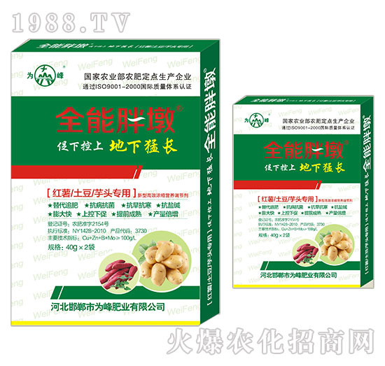 �t�������������^����-ȫ���ֶ�-���