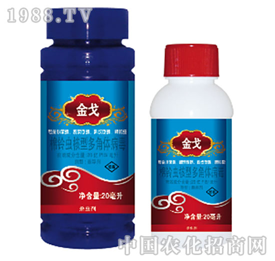 20�|PIB/��������x(ch��ng)���Ͷ���w����-���-���{(l��n)