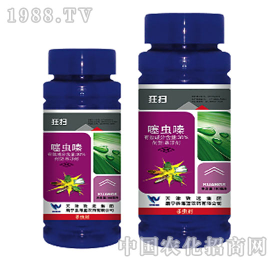 30%���xຑҸ���-���-���{