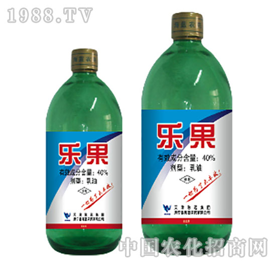 40%����-���{(l��n)