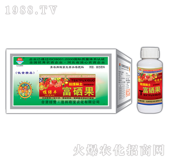 200g富硒果-奇寶農化