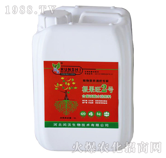 根果旺2號(hào)-閏沃