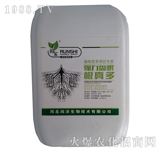 強力盤根根真多-閏沃