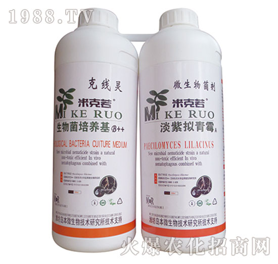 淡紫擬青霉組合-華濱