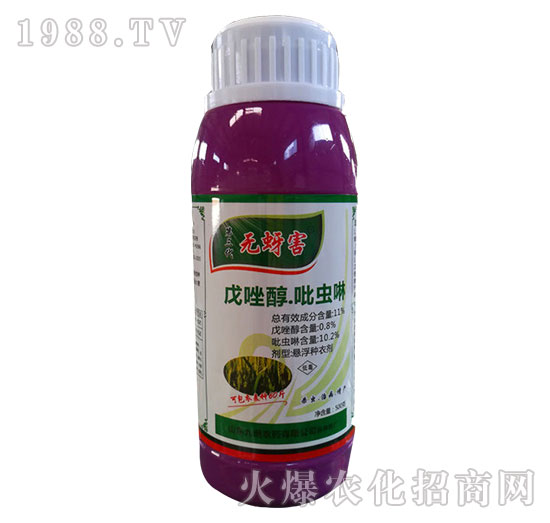 11%�������x��-�o(w��)����-�읙(r��n)����