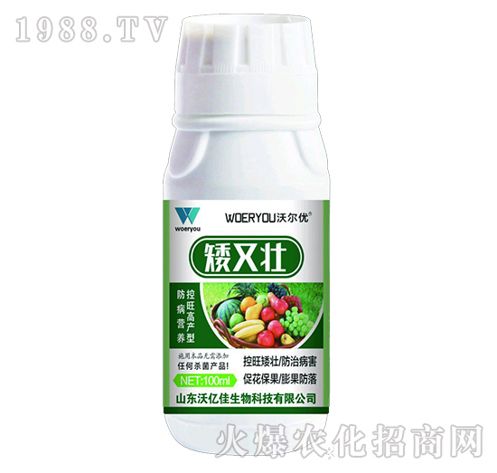 ���։�-�֠���(y��u)