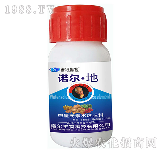 諾爾·地-諾爾生物