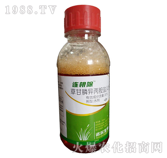 41%草甘膦異丙胺鹽-連根除-諾爾生物