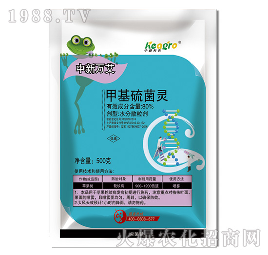 80%�׻�����`-�����f��-���¿��r(n��ng)