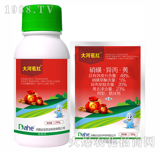 48%硝磺·異丙·莠-大河苞紅-遠(yuǎn)見農(nóng)業(yè)