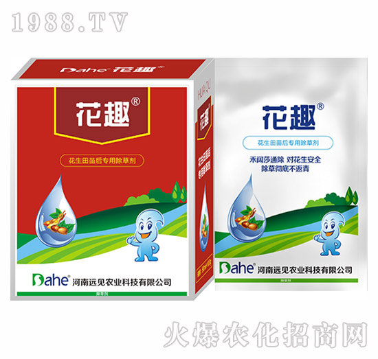 花趣-遠(yuǎn)見農(nóng)業(yè)