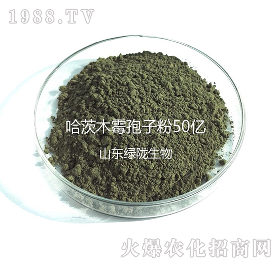 哈茨木霉孢子粉-綠隴生物