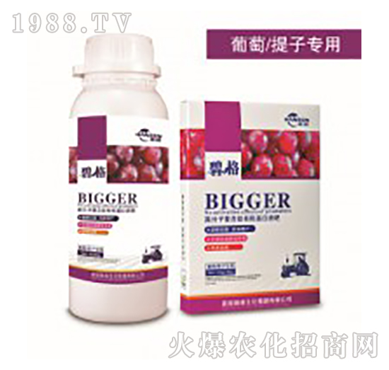 �������ӌ��ø߷��ӏ�(f��)�����ЙC����Һ��-�̸�-�ɭ�r(n��ng)�I(y��)