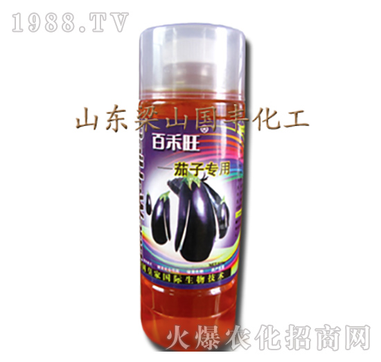 ���ӌ����~���-��ɽ��(gu��)�S