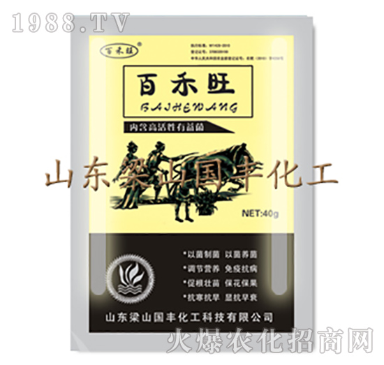 �ٺ���������-��ɽ���S