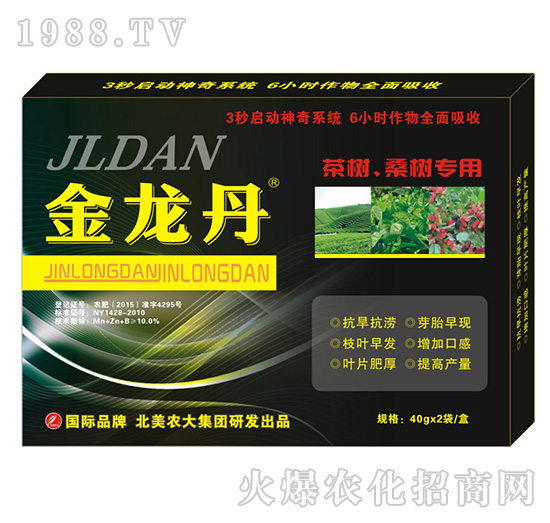 ɣ�茣(zhu��n)��-�����r(n��ng)��