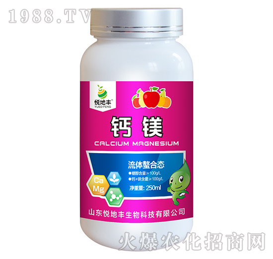 ���w���ϑB(t��i)-�}�V-�����S