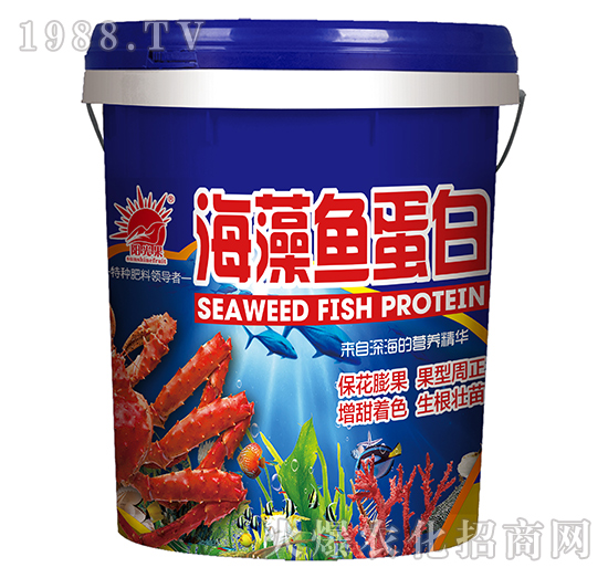 �����~(y��)���ף��{(l��n)��-�P�L(zh��ng)��