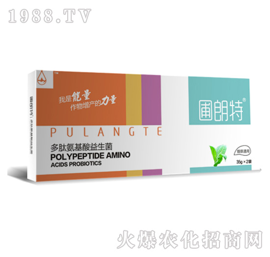 ����ͨ��-���İ�����������-������