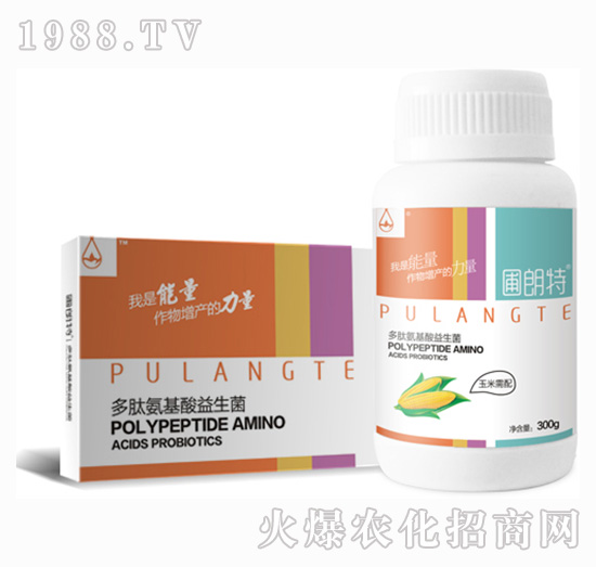 ��������-���İ�����������-������